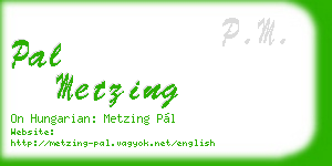 pal metzing business card